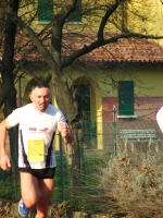 176.jpg