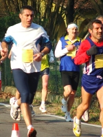 206.jpg