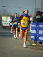 310.jpg
