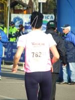 491.jpg