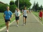 morselli_strachiviol07_128.jpg