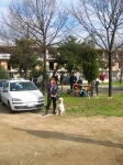cross_di_succivo_2007_009.jpg
