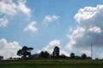 31.3.07_0136.jpg