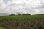 31.3.07_0144.jpg