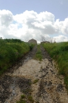 31.3.07_0146.jpg