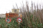 31.3.07_0147.jpg