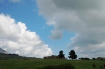 31.3.07_0149.jpg