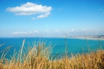 31.3.07_0181.jpg