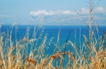 31.3.07_0183.jpg