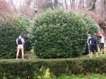 salso_TerreVerdiane_25.02.07__058.jpg