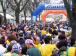 salso_TerreVerdiane_25.02.07__065.jpg