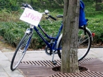salso_TerreVerdiane_25.02.07__068.jpg