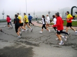 salso_TerreVerdiane_25.02.07__085.jpg