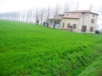 salso_TerreVerdiane_25.02.07__162.jpg