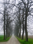 salso_TerreVerdiane_25.02.07__163.jpg