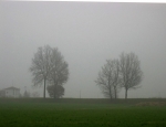 salso_TerreVerdiane_25.02.07__182.jpg