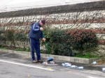 salso_TerreVerdiane_25.02.07__196.jpg