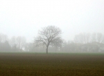 salso_TerreVerdiane_25.02.07__215.jpg