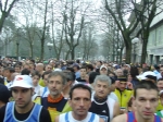 verdiane07_morselli_033.jpg