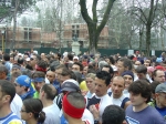 verdiane07_morselli_040.jpg