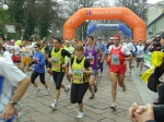 verdiane07_morselli_065.jpg