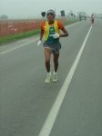 verdiane07_morselli_112.jpg