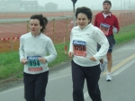 z_verdi_morselli_030.jpg