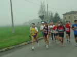 z_verdi_morselli_045.jpg