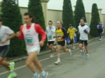 z_verdi_morselli_050.jpg