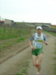 villafranca07_039.jpg