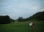 DSCF0028.jpg
