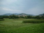 DSCF0087.jpg