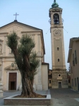 DSCF0678.jpg