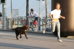 106.jpg