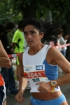 338.jpg