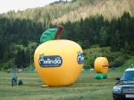 hpim0604.jpg
