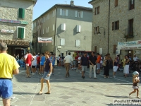 MINOZZO_MORSELLI07_014.jpg