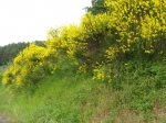Filename=107.jpg
Filesize=320KiB
Dimensions=1024x768
Date added=Jun 02, 2008 107.jpg