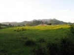 Filename=136.jpg
Filesize=134KiB
Dimensions=1024x768
Date added=Jun 02, 2008 136.jpg