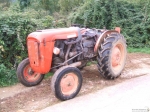 Foto_di_Fausto_Dellapiana_-_SolidALMEnte0053.jpg