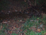 Foto_di_Fausto_Dellapiana_-_SolidALMEnte0057.jpg