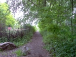 IM000955.jpg