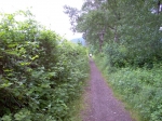 IM000956.jpg
