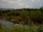 Filename=IM000970.jpg
Filesize=195KiB
Dimensions=1016x762
Date added=May 28, 2008 IM000970.jpg