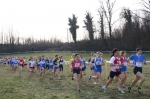 IMG_5767.JPG