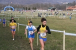 IMG_5801.JPG