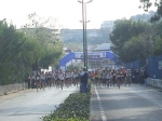 44a.jpg