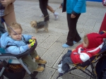 Filename=ter15.JPG
Filesize=243KiB
Dimensions=1024x768
Date added=Oct 29, 2007 ter15.JPG