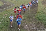 IMG_0429.jpg