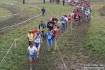 IMG_0435.jpg